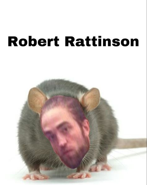 Tracksuit Robert Pattinson Meme, Tracksuit Rob, Robert Pattinson Meme, Twilight Meme, Twilight Jokes, Worst Tattoos, Twilight Funny, Twilight Memes, Twilight Photos