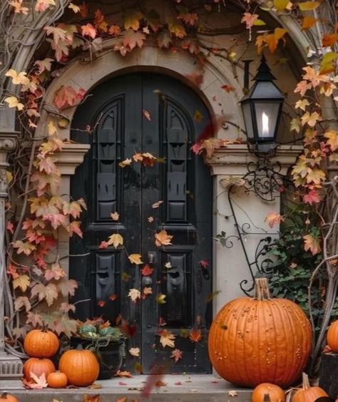 Halloween Porches, Autumn Outdoors, Autumn Cafe, Outdoor Fall Decor Ideas, Fall Porches, Halloween History, Fall Wallpapers, Autumn Breeze, Autumn Magic