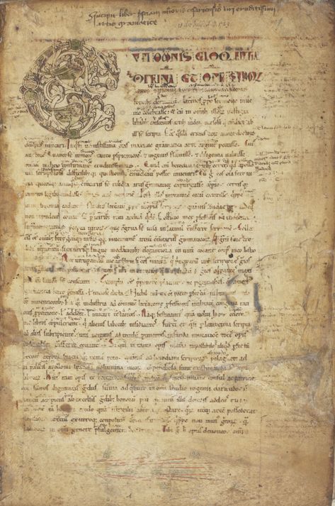 School curricula also explain why ancient grammatical literature was transmitted in surprising quantities across medieval Europe and the Mediterranean, including educational material for the study not only of Latin but also of ancient Greek. Popular texts, such as Priscian’s 5th-century Institutes of Latin Grammar, survive in large numbers, sometimes annotated with glosses or notes added in classrooms, as in this example from 11th-century France. Ancient Writing Aesthetic, Greek Manuscript, Ancient Greek Aesthetic, Ancient Greek Literature, Ancient Literature, Roman Literature, Literature Aesthetic, Greek Literature, Latin Grammar