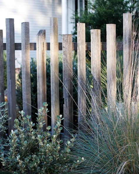 Moss Boss Studios | We love using recycled timber, not only for sustainability purposes but also to highlight the ebbs and flows of time through a… | Instagram Simple Garden Designs, Australian Garden Design, Witchy Garden, Timber Posts, Timber Fencing, Recycle Timber, Courtyard Design, Fencing & Gates, Garden Screening