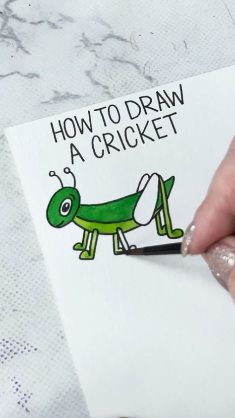 Cute Cricket Drawing, Cricket Drawing Easy, Cricket Sketch, Cricket Drawing, Cricket Insect, Simple Border, Simple Borders, Border Designs, Illustration Watercolor