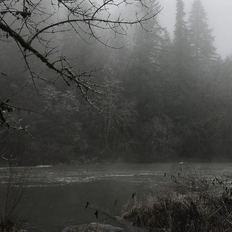 White Hour Sky, Grey Hour, Foggy Weather, Cute Lockscreens, Foggy Forest, Ocean Sky, Dark Nature Aesthetic, Misty Forest, Gray Aesthetic