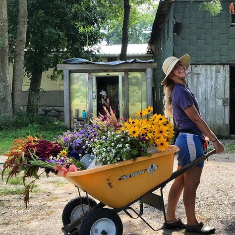 Wheel Barrow Photoshoot, Wheelbarrow Photoshoot, Garden Life, Seasonal Flowers, Senior Pics, Country Gardening, Grad Party, Color Therapy, Family Session