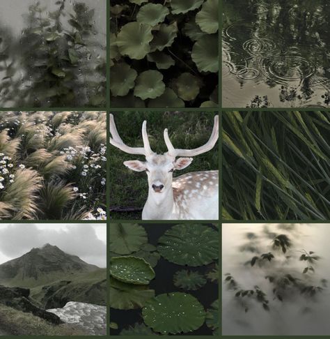 Results for quiz what’s your aesthetic but it’s my favorite rare aesthetics How To Make A Moodboard, How To Do A Mood Board, Mood Boards Nature, My Mood Board, Oc Board Ideas, Mood Board Colors, My Aesthetic Board, Oc Aesthetic Ideas, How To Make A Mood Board