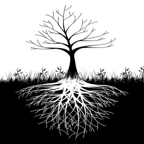 Tree roots silhouette royalty free illustration Tree With Roots, Silhouette Tree, Dream Catcher Tattoo, Vector Trees, Silhouette Clip Art, Tree Images, Black Tree, Tree Roots, Tree Silhouette