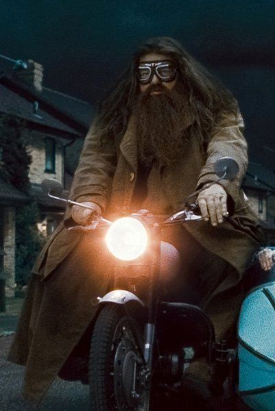 Rubeus Hagrid Harry Potter Character, Deathly Hallows Part 1, Rubeus Hagrid, Harry Potter 2, Albus Dumbledore, Internet Memes, Harry Potter Cast, Harry Potter Wallpaper, Nerd Life