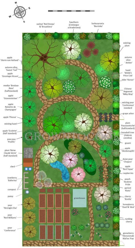 Design for our permaculture garden – grown to cook Permaculture Edible Garden, Permaculture Orchard Design, Garden Orchard Design, Garden And Orchard Layout, Permaculture Orchard Layout, Backyard Orchard Design, Food Forest Layout Permaculture Design, Permaculture Landscape Design, New England Food Forest