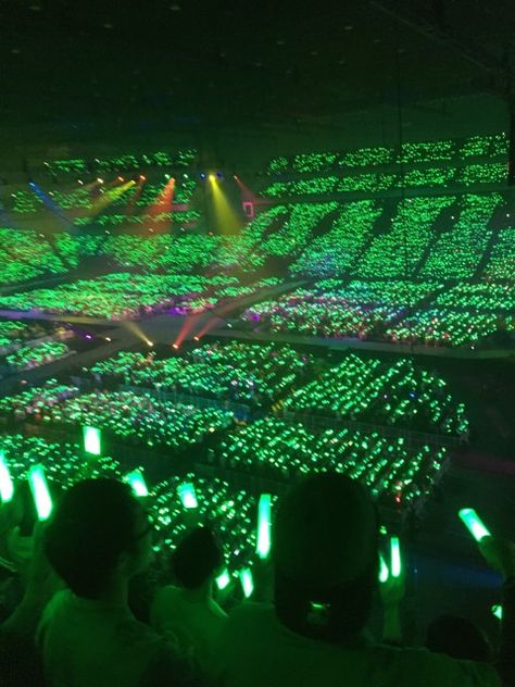 Expensive Stuff, Concert Lights, Glow Stick, Concert Aesthetic, Brand Concept, Concert Photography, Glow Sticks, Tropical Beach, Green Aesthetic