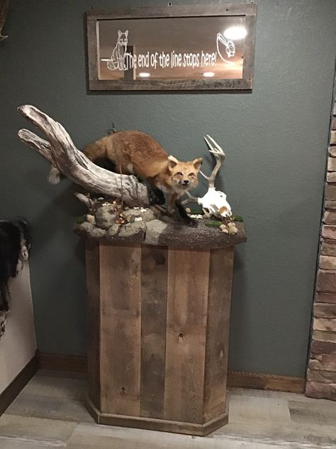 Rustic Playroom, Pedestal Ideas, Fox Taxidermy, Taxidermy Fox, Hunting Man Cave, Deer Hunting Decor, Small Man Cave, Hunting Cabin Decor, Animal Mounts