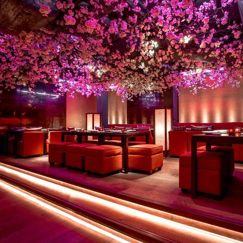 Time Out London on Instagram: “Every year, Shochu Lounge at the Charlotte Street branch of @rokarestaurant brings spring indoors with its dreamy sakura installation. It's…” Pink Party Drink, Ohio House, Tree Interior, Flower Ceiling, Interior Design Dining, Charlotte Street, Pink Pink Pink, Terrace Restaurant, Shochu