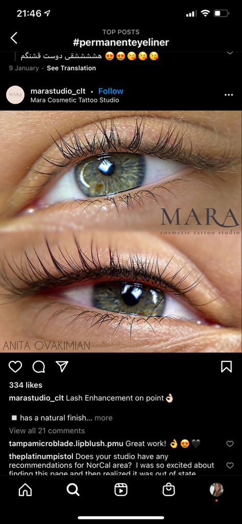 Permanent Lash Enhancement, Permanent Eyeliner Styles Natural, Lash Line Enhancement Tattoo, Lash Enhancement Tattoo, Pmu Eyeliner, Lip Color Tattoo, Tattoo Eyeliner, Eye Colours, Cosmetic Tattooing