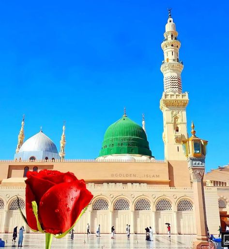 Madina Shareef
Madina hd image
Madina Shareef hd picture
Islamic hd picture
Gumbad e Khazra Gumbad E Khazra, Madina Shareef, Madina Sharif, Eid Milad Un Nabi, Eid Milad, Wallpaper Flowers, Android Wallpaper Flowers, Beach Background, Islamic Wallpaper