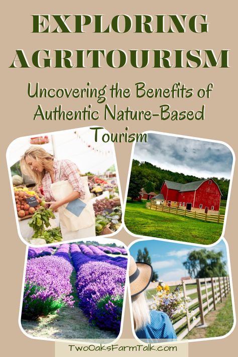 Agrotourism Ideas Farms, Agritourism Ideas Farms, Agribusiness Ideas, Farm Playground, Farm Tourism, Agritourism Farms, Veggies Garden, Nature Benefits, Sustainable Farm