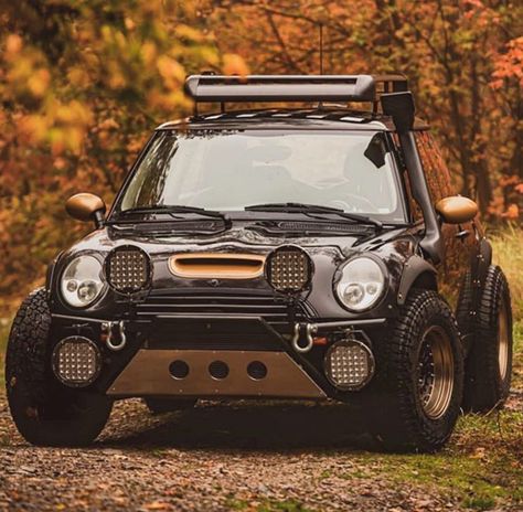 Mini 4x4, Mini Cooper Custom, Lifted Cars, Road Vehicle, Mini Trucks, Mini Cooper S, European Cars, Mini Cars