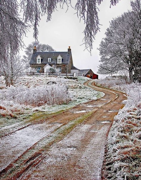 Cozy Room Ideas, Room Ideas For Men, Room Ideas For Men Bedroom, Men Bedroom, Scottish Countryside, Home Decor Cozy, Countryside Cottage, Irish Cottage, Victorian Farmhouse