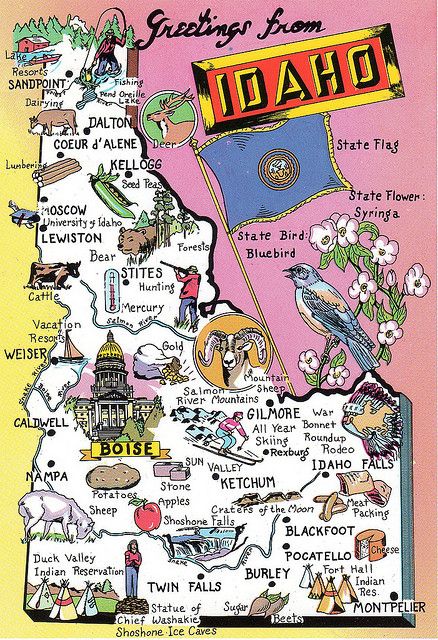 Idaho Map, Explore Idaho, Idaho Adventure, State Flowers, Idaho Travel, Montana Vacation, Sun Valley Idaho, Idaho State, Travel Vintage