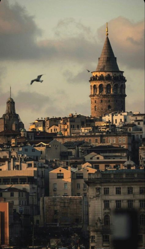 Istanbul Turkey Photography, Istanbul Photography, Istanbul City, Istanbul Travel, Hagia Sophia, City Wallpaper, City Landscape, Phone Wallpaper Images, City Photography