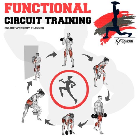 Circuit Training for Beginners: A Step by Step Guide 102 Circuit Training For Beginners, Circuit Exercises, Heart Rate Training, Circuit Training Workouts, Training For Beginners, Anaerobic Exercise, Muscular Endurance, Treadmill Workouts, Circuit Workout