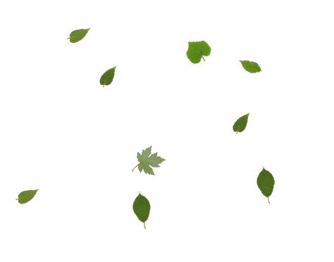 Leaf Animation, Power Point, Black Backgrounds, Autumn Leaves, Plant Leaves, Domain Name, Gif, Baby Shower, Shower