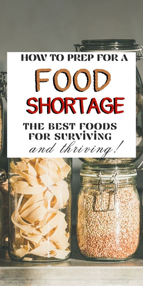 How to prepare for food shortage so you are not unprepared for the future! Your food shortgage prep list for 2023. Preparing for food shortage. Food shortage prep. What to stock up on for a global food shortage. Best foods for food shortage. Your food shortage grocery list so you know what meals to make and how to survive. Planning for food shortages in your own area. With everything that has happened, you never know when you need this skill. How To Preserve Food, Food Shortage, Emergency Preparedness Food Storage, Survival Food Storage, Emergency Preparedness Food, Preserving Foods, Meals To Make, Global Food, Meal Planning Printable