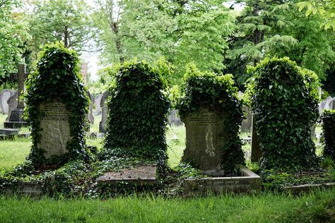 overgrown graveyard Overgrown Graveyard, Halfway House, London City, Graveyard, Cemetery, Yard, Statue, Art