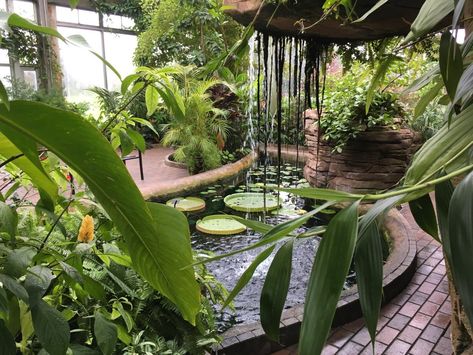 Garfield Park Conservatory & Sunken Garden (Indianapolis) - 2018 All You Need to Know Before You Go (with Photos) - TripAdvisor Woodland Trail, Garfield Park Conservatory, Sunken Gardens, Rare Orchids, Sunken Garden, Children's Garden, Tropical Rainforest, Exotic Plants, Gardening For Kids