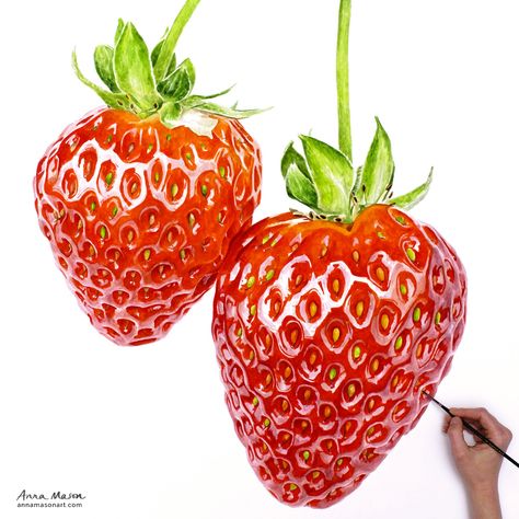 Still getting a kick out of these big strawberries I painted last month. For tips on how to paint them see:   https://www.annamasonart.com/paint-strawberries/ Strawberry Art Illustration, Sketch Digital Art, Watercolor Strawberries, Strawberry Clipart, Strawberry Drawing, Anna Mason, Strawberry Art, Sketch Digital, Beginner Art