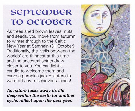 Energy of the seasons September to October Satanic Witchcraft, Magical Correspondences, Pagan Calendar, Samhain Halloween, Black Magick, Happy September, Magick Spells, Wicca Witchcraft, Celtic Tree