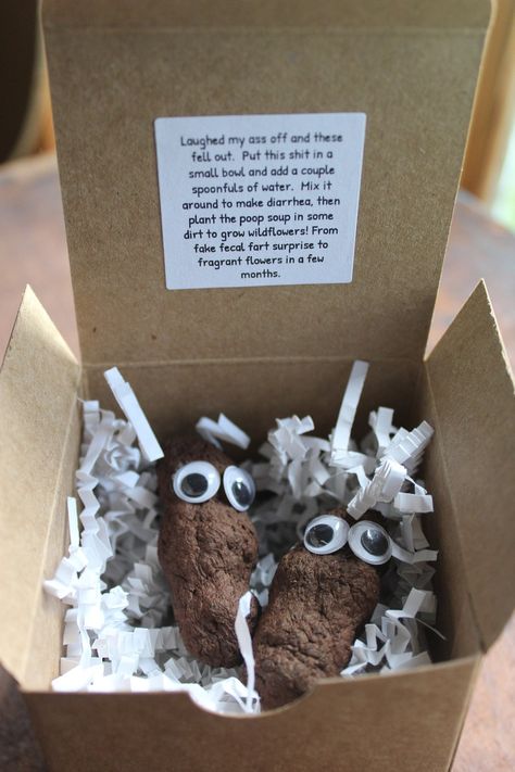 Funny Sht Inside Boxed Gag Gift Plantable Fake Dog Poop - Etsy