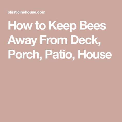 How to Keep Bees Away From Deck, Porch, Patio, House Get Rid Of Bees On Deck, How To Get Rid Of Bees Outside House, How To Deter Bees And Wasps, Carpenter Bees How To Get Rid Of, Carpenter Bee Repellent Diy, How To Make Carpenter Bee Traps, Bee Repellent, Getting Rid Of Bees, Sweat Bees