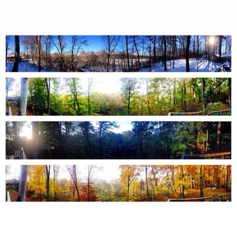 Seasons at home All 4 Seasons, Four Seasons Landscape, 4 Seasons Watercolor Painting, 4 Seasons Asthetics, 4 Seasons Mural, Four Seasons Painting Trees, Four Seasons Painting, Four Seasons Art, Seasons Photography