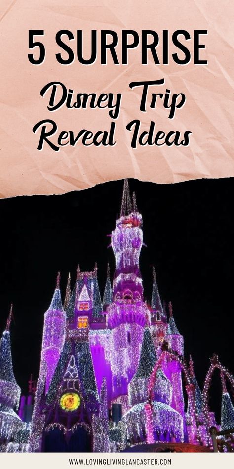 The upcoming Disney family vacation that you’ve been hiding from your children is bound to be a magical memory that they never forget. But if you’re struggling on finding a fun way to tell them about where they’re going, that’s alright. You’ve come to the right place. There are dozens of Disney trip reveal ideas that other parents have already done with their children that you can do too! Be sure to check out these 5 surprise Disney trip reveal ideas that will more than excite your kiddos. Disneyland Trip Surprise Ideas, Disneyland Reveal Ideas Kids, Disney World Surprise Box Ideas, Surprise Disney Trip Reveal Ideas, Disney Trip Reveal Ideas, Disney Reveal Ideas, Going To Disney Surprise, Disney Surprise Box Ideas, Disney Surprise Trip Reveal