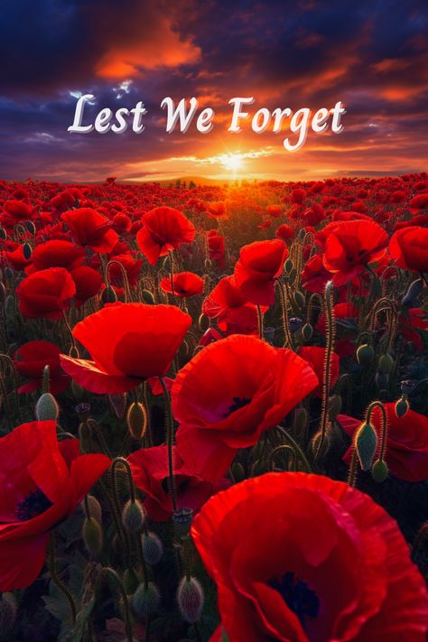 Lest We Forget | November 11 | Veterans Day Less We Forget Remembrance Day, Remembrance Day Wallpaper, November 11 Remembrance Day, Happy Veterans Day Images, Lest We Forget Tattoo, Veterans Day Pictures, Remembrance Day Images, Remembrance Day Pictures, Lest We Forget Remembrance Day