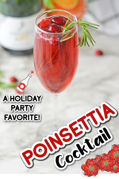 This poinsettia champagne cocktail is a beautiful and festive drink that’s perfect for your holiday parties. Its bright red color and sweet cranberry orange flavor makes it a Christmas drink that everyone will be asking for this holiday season! Poinsettia Drink, Poinsettia Cocktail, Champagne Mimosa, Strawberry Jello Salad, Christmas Brunch Menu, Mimosa Drink, Cranberry Mimosa, Ginger Beer Cocktail, Cocktail Juice