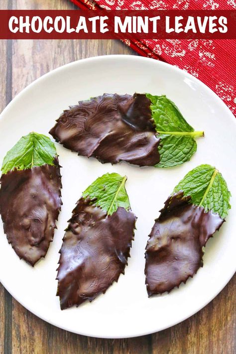 Chocolate Mint Leaves - Healthy Recipes Blog Chocolate Mint Leaves, Mint Leaves Recipe, Mint Recipes Fresh, Fresh Healthy Recipes, Easy Sweets, Dessert Simple, Mint Recipes, Herb Recipes, Unique Desserts