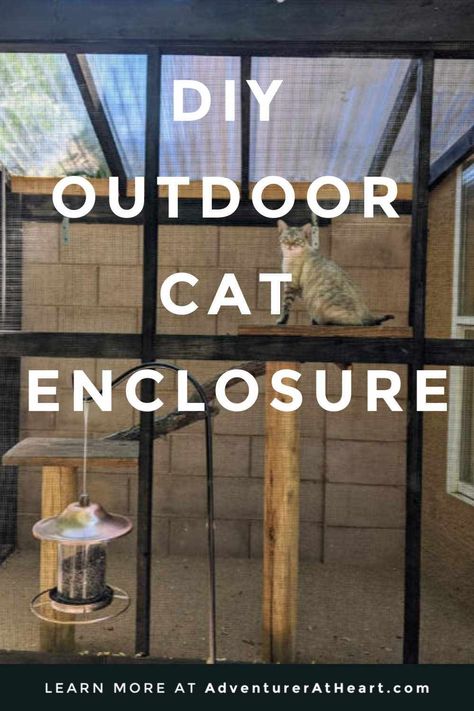 Step by step guide to building a DIY outdoor cat enclosure. How to build a 4x8 catio without breaking the bank. A secure area for cats Diy Catios For Cats Cheap, Catios Diy How To Build, Diy Catios For Cats Outside, Cat Outside Enclosure, Diy Cat House, Outside Cat Enclosure, Cat House Outdoor, Catio Plans, Diy Cat Enclosure