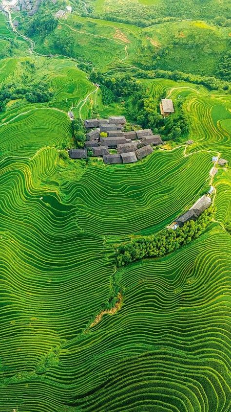 Landform, Rice Fields, Green Landscape, Green Nature, Nature Backgrounds, Alam Yang Indah, Fantasy Landscape, Places Around The World, Nature Travel