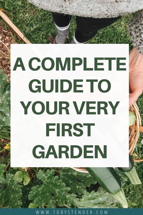 A COMPLETE GUIDE TO YOUR VERY FIRST GARDEN How To Start Your Garden, What To Plant In The Spring, How To Start A Garden From Scratch, How To Start A Garden, How To Start A Garden For Beginners, First Time Garden, Start A Garden For Beginners, Spring Planting Guide, Easiest Vegetables To Grow