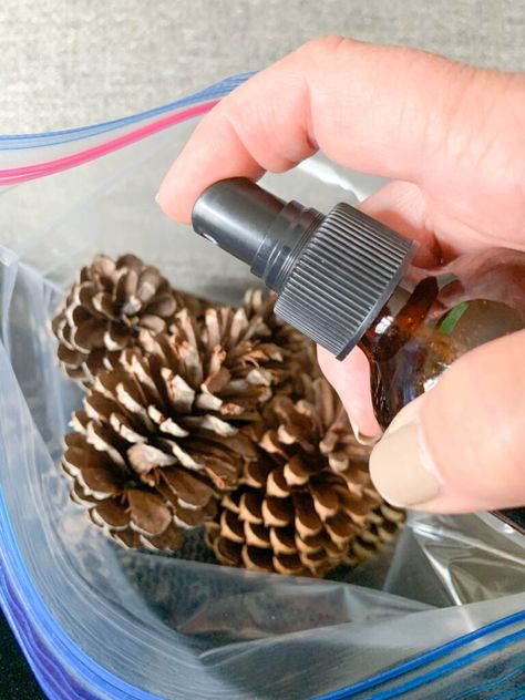 Bleach Pinecones, Scented Pine Cones, Diy Cinnamon, Scented Pinecones, Neighborhood Walk, Painted Pinecones, Diy Scent, Diy Wax, Cinnamon Oil