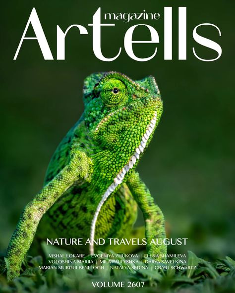 I'm thrilled and honored to share that I have been featured on the cover of @artells.magazine August issue, dedicated to Nature and Travel (Volume 2607). A heartfelt thank you to Artells for this golden opportunity to showcase my work on a global platform. #birdphotography #wildlifephotography #wildlife #birdsofinstagram #wildlifephotographer #nature #travel #outdoorphotography #birdlovers #birdwatching #naturephotography #explore #artist #artellsmagazine #featured #birdsonearth #vishals_wil... Wildlife Magazine Cover, Wildlife Magazine, Golden Opportunity, Birdwatching, Bird Photography, Outdoor Photography, Bird Lovers, Bird Watching, Nature Travel