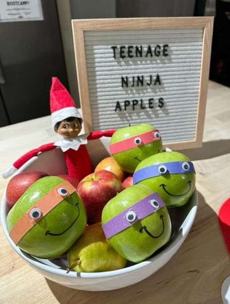 Elf Ninja Turtle, Cute Elf On The Shelf Return Ideas, Returning Elf Ideas, Elf On The Shelf Ideas Return, Elf Returning Ideas, Travesuras Elf On The Shelf, Elf On The Shelf Returns Ideas, Elf Return Ideas, Elf On The Shelf Pet Ideas