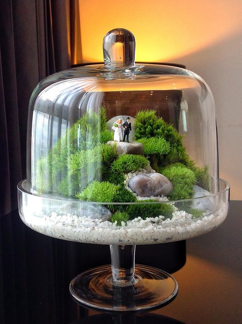 #terrariums Valentine Terrarium, Indoor Gardening Diy, Closed Terrarium Plants, Terrarium Scene, Terrarium Fairy Garden, Closed Terrarium, Fairy Terrarium, Cloche Decor, Plant In Glass