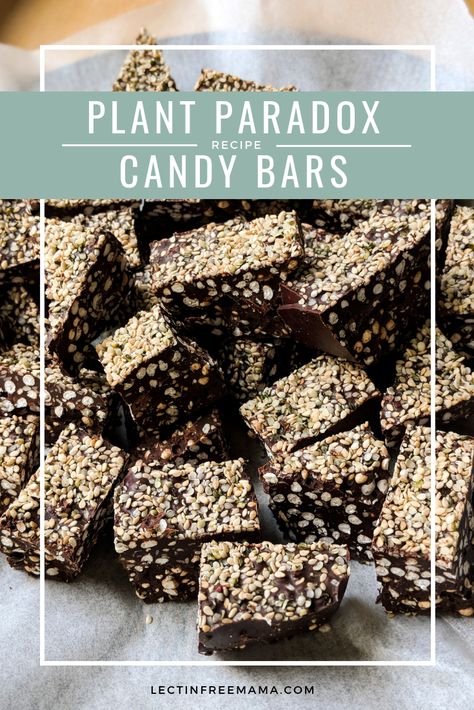 Lectin Free Protein Bars, Plant Paradox Dessert Recipes, Lectin Free Snacks, Lectin Free Desserts, Plant Paradox Recipes, Lectin Free Recipes, Plant Paradox Food List, Dr Grundy, Gundry Diet