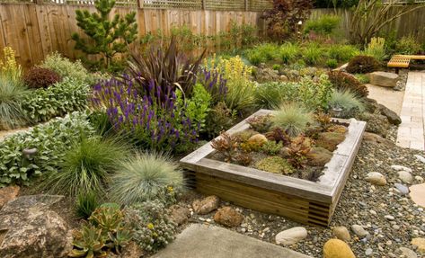 Ways to change your garden so it’s resilient this spring Garden Escape, Drought Resistant Plants, Sustainable Landscaping, Artificial Lawn, Grasses Landscaping, Drought Tolerant Plants, Landscaping With Rocks, Bougainvillea, Lombok