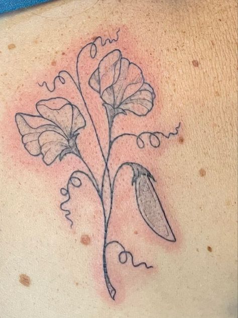 Snow Pea Tattoo, Snap Pea Tattoo, Sweet Pea Flower Tattoo Design, Pea Plant Tattoo, Sweet Pea Tattoo Simple, Peapod Tattoo, Ginger Flower Tattoo, Sweet Pea Flowers Tattoo, Flower Bud Tattoo