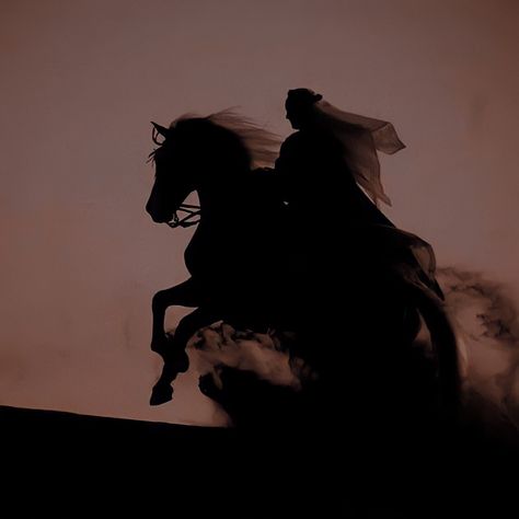 Arabian Nights Aesthetic, Assassin's Blade, Arabian Night, Queen Aesthetic, Royalty Aesthetic, Photographie Portrait Inspiration, Horse Aesthetic, Muslimah Aesthetic, Princess Aesthetic