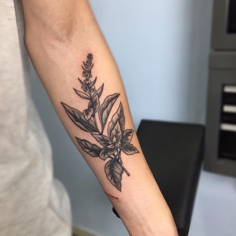 Thai Basil Tattoo, Basil Plant Tattoo, Basil Flower Tattoo, Tulsi Tattoo, Basil Leaf Tattoo, Basil Tattoo, Cooking Tattoo, Forearm Cover Up Tattoos, Chef Tattoo