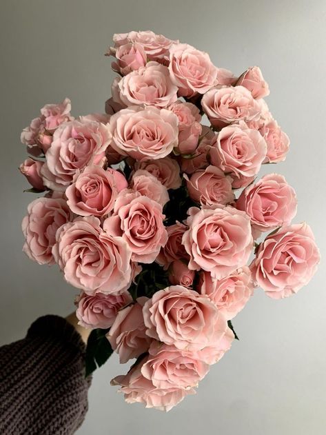 Light Pink Spray Rose, Rose Roses Bouquet, Roses Light Pink, All Rose Bouquet, Light Pink Roses Aesthetic, Light Pink Flowers Aesthetic, Light Pink Roses Wallpaper, Pink Roses Bouquet Aesthetic, Roses Aesthetic Bouquet