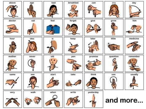 Sign language Sign Language For Beginners, Basic Sign Language, Sign Language Basics, Makaton Signs, Simple Sign Language, Learning Sign Language, Learning Asl, Sign Language Chart, Sign Language For Kids