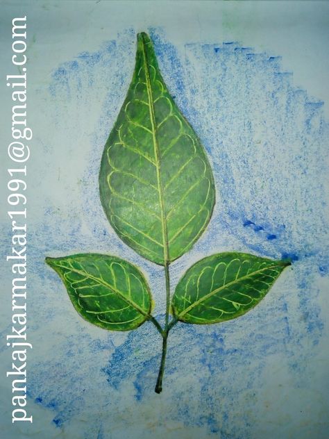 Belpata with oil pastel by Pankaj karmakar A Drawing, Drawing For Kids, Oil Pastel, Plant Leaves, Pastel, Drawings, Plants, 10 Things, Quick Saves